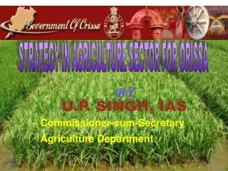 STRATEGY IN AGRICULTURE SECTOR FOR ORISSA