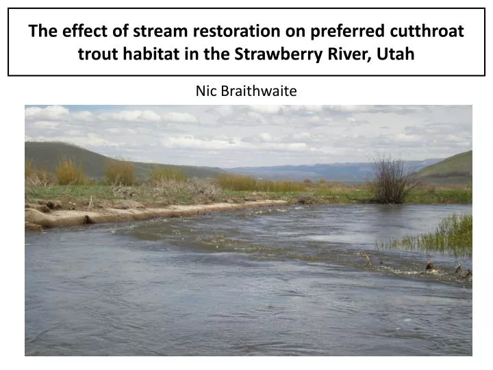 the effect of stream restoration on preferred cutthroat trout habitat in the strawberry river utah