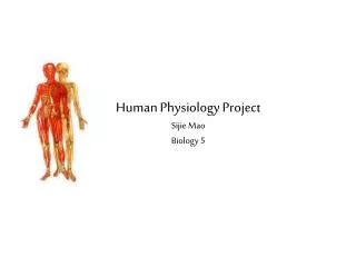 Human Physiology Project Sijie Mao Biology 5