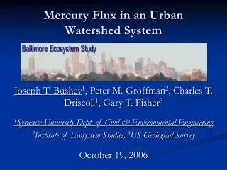 Mercury Flux in an Urban Watershed System