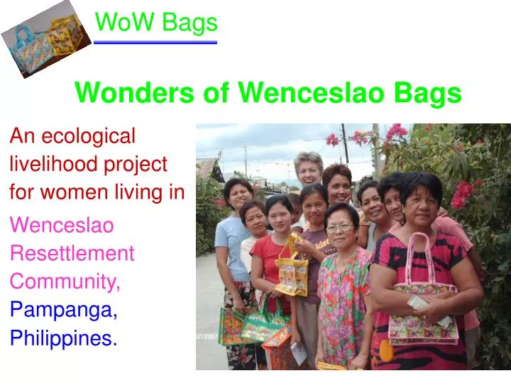 wonders of wenceslao bags