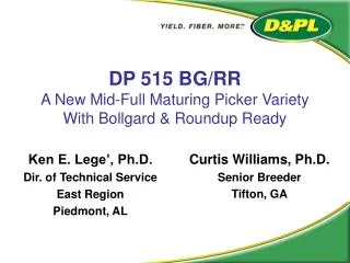 DP 515 BG/RR A New Mid-Full Maturing Picker Variety With Bollgard &amp; Roundup Ready