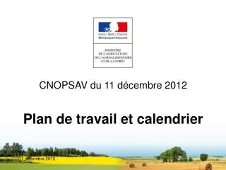 plan de travail et calendrier