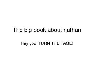 The big book about nathan