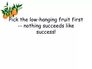 Pick the low-hanging fruit first -- nothing succeeds like success!
