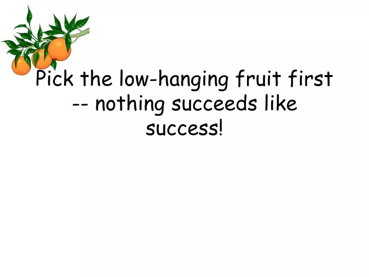 pick the low hanging fruit first nothing succeeds like success