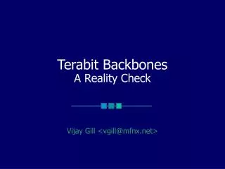Terabit Backbones A Reality Check