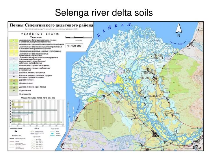 selenga river delta soils