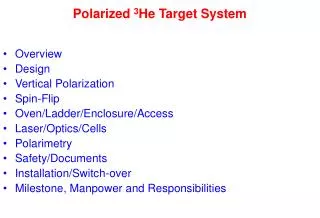 Polarized 3 He Target System