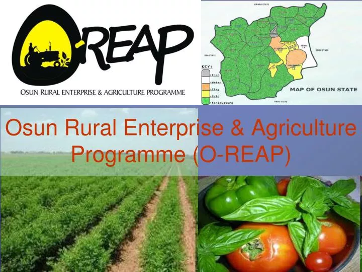 osun rural enterprise agriculture programme o reap