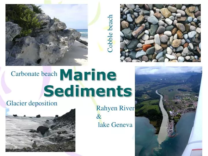 marine sediments