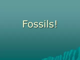 Fossils!