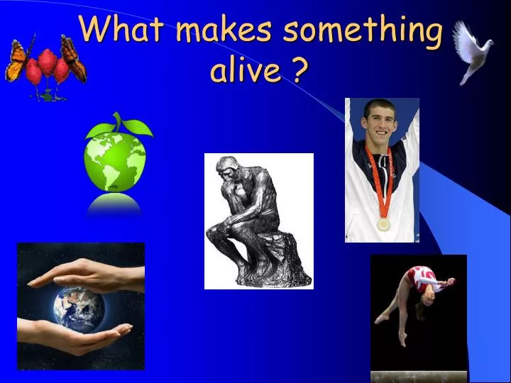 what makes something alive