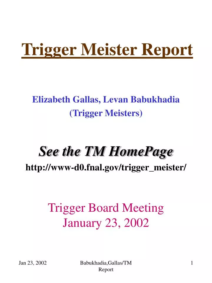 trigger meister report