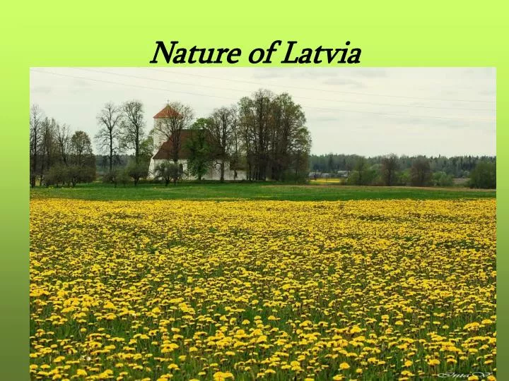 nature of latvia