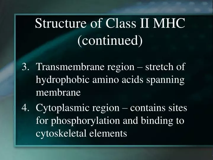 structure of class ii mhc continued