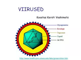 viirused
