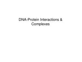 DNA-Protein Interactions &amp; Complexes