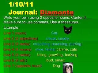 1/10/11 Journal: Diamonte