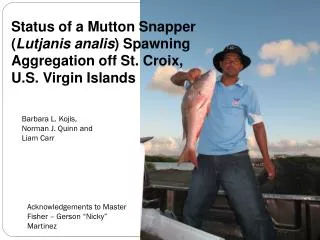 Status of a Mutton Snapper ( Lutjanis analis ) Spawning Aggregation off St. Croix,