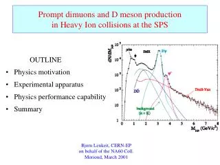 Prompt dimuons and D meson production in Heavy Ion collisions at the SPS