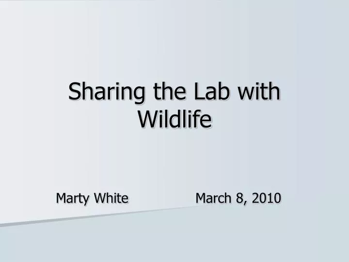 sharing the lab with wildlife