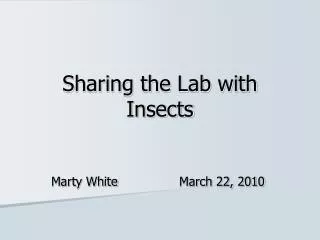 Sharing the Lab with Insects