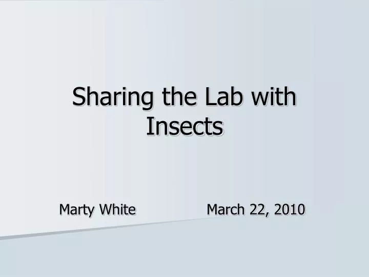 sharing the lab with insects