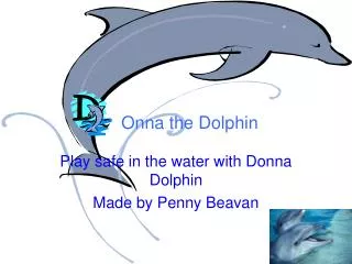 Play safe in the water with Donna Dolphin Made by Penny Beavan