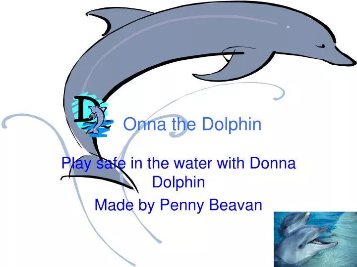 play safe in the water with donna dolphin made by penny beavan