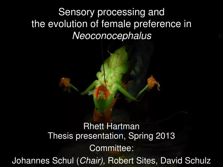 sensory processing and the evolution of female preference in neoconocephalus