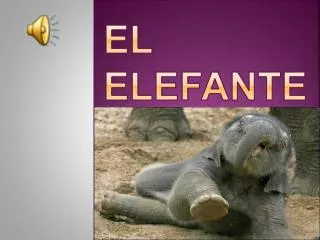 el elefante