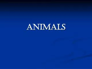 PPT - NG photos - Animals (part 4) PowerPoint Presentation, free ...