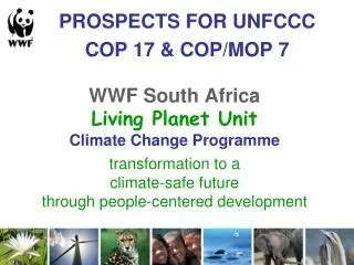 PROSPECTS FOR UNFCCC COP 17 &amp; COP/MOP 7