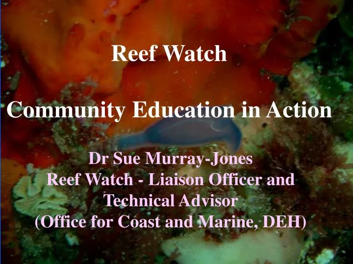 reef watch community education in action