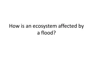 How is an ecosystem affected by a flood?
