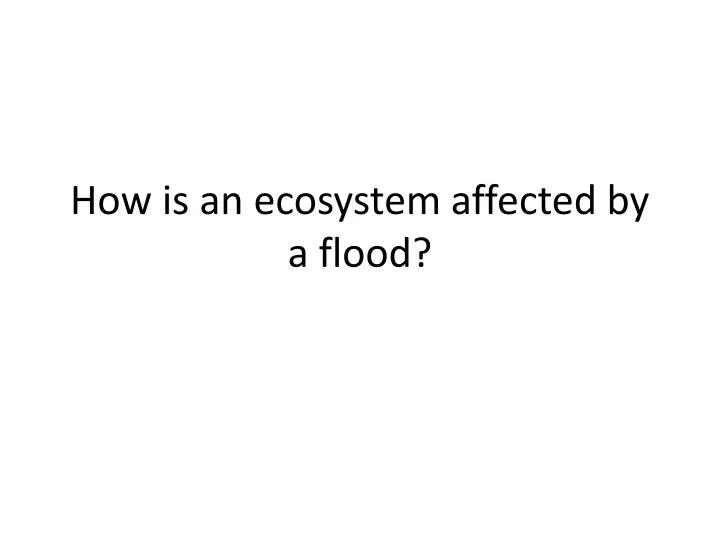 how is an ecosystem affected by a flood