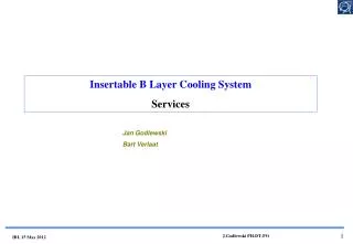 Insertable B Layer Cooling System Services