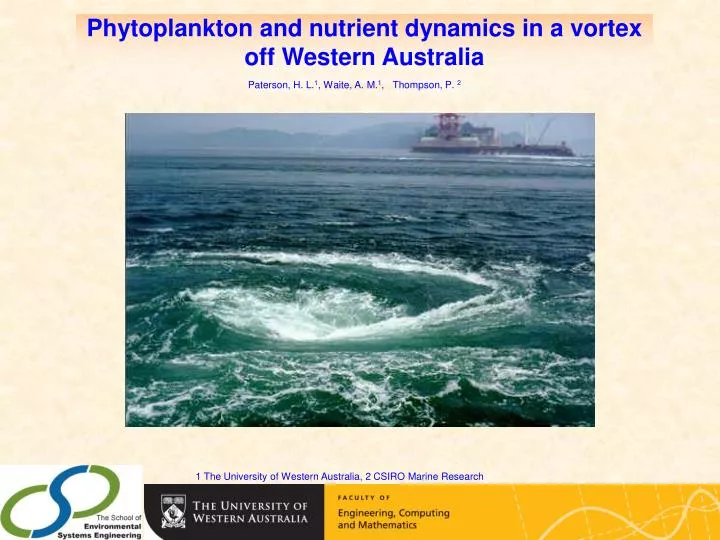 phytoplankton and nutrient dynamics in a vortex off western australia