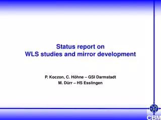 Status report on WLS studies and mirror development