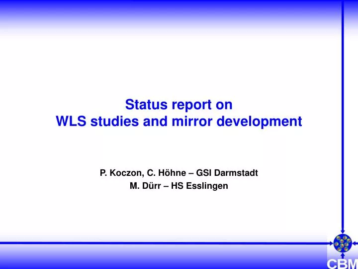 status report on wls studies and mirror development