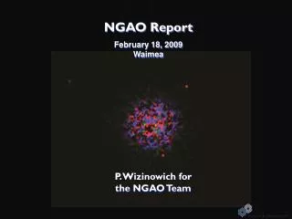 NGAO Report February 18, 2009 Waimea