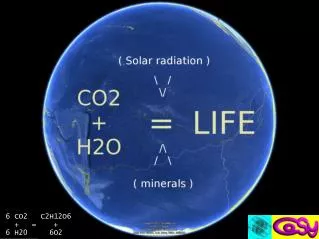 6 CO2 C2H12O6 + = + 6 H20 6O2