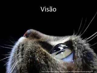 vis o