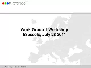 Work Group 1 Workshop Brussels, July 28 2011