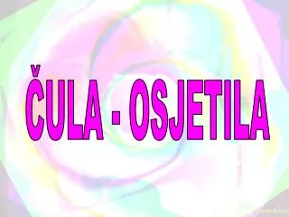 ula osjetila