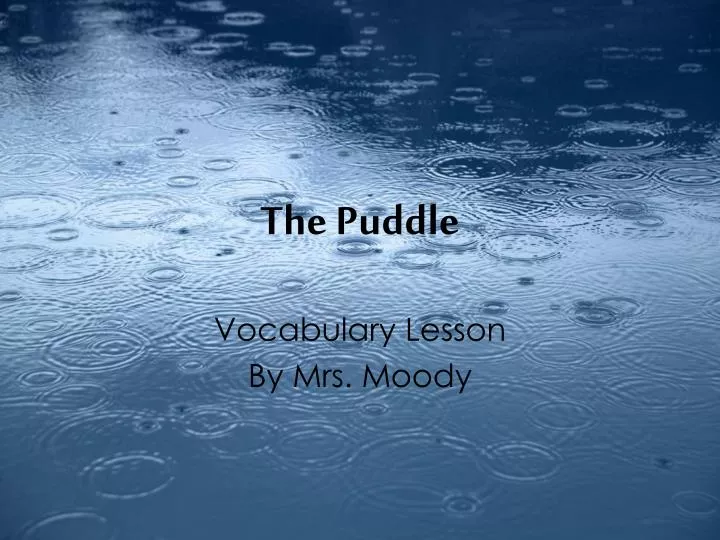 the puddle