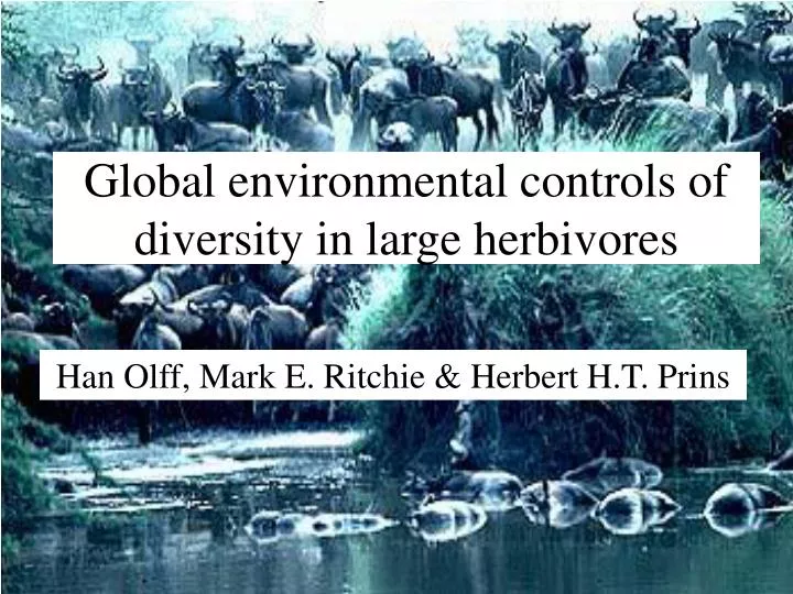 global environmental controls of diversity in large herbivores