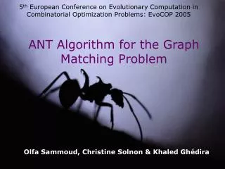 ANT Algorithm for the Graph Matching Problem