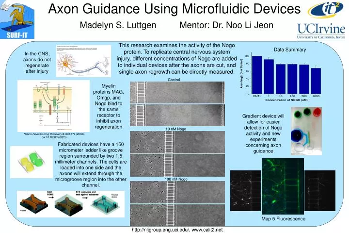 axon guidance using microfluidic devices